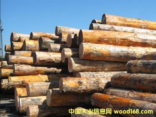 ������ԭľ��Ԕ��(x��)��B