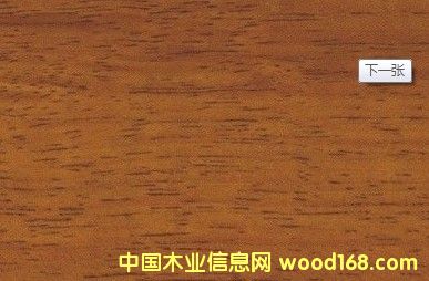 ӡ�Ფ�}���Ԕ��(x��)��B