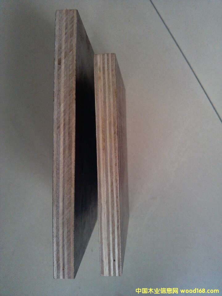 ��ȩ�z��ľ����Ԕ��(x��)��B