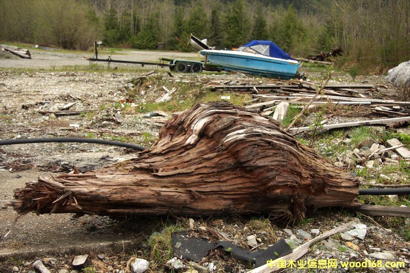 �tѩ�ɘ���