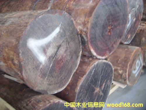 ���黨���Ԕ����B