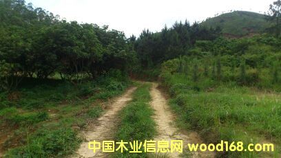 ���(sh��)��Ԕ��(x��)��B