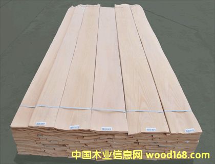 ��ľľƤɽ�y��Ԕ��(x��)��B