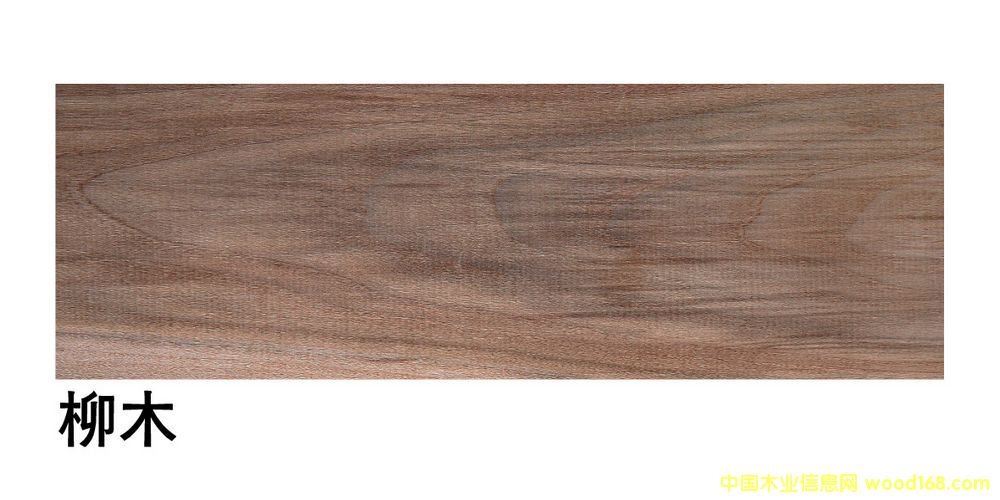 �����M(j��n)����ľ��ĵ�Ԕ��(x��)��B