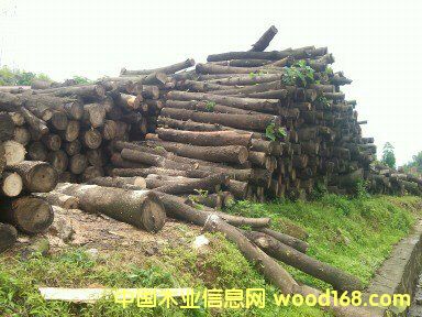 ͩľԭľ��Ԕ��(x��)��B