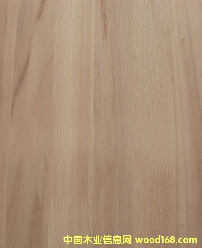 ��(x��)ľ����ָ�Ӱ��Ԕ��(x��)��B