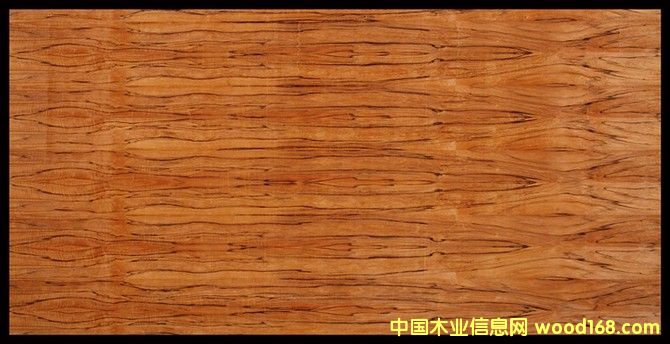 �O��ľ��Ԕ����B