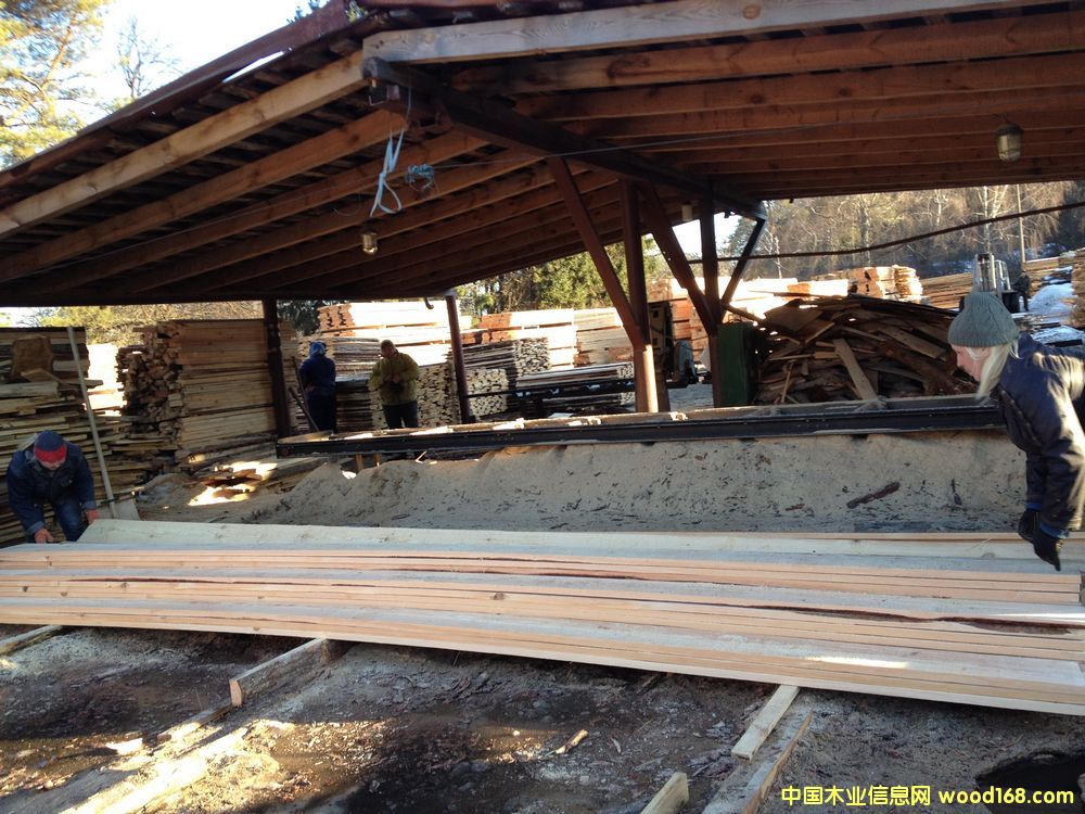 �����ɰ�ĵ�Ԕ����B