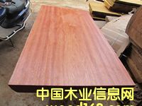 ���ǹ����/��ľԭľ/�k����/����/����/��X��/���h��