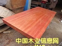 ���ǹ����/��(sh��)ľԭľ/�k����/����/����/��X��/��(hu��)�h��