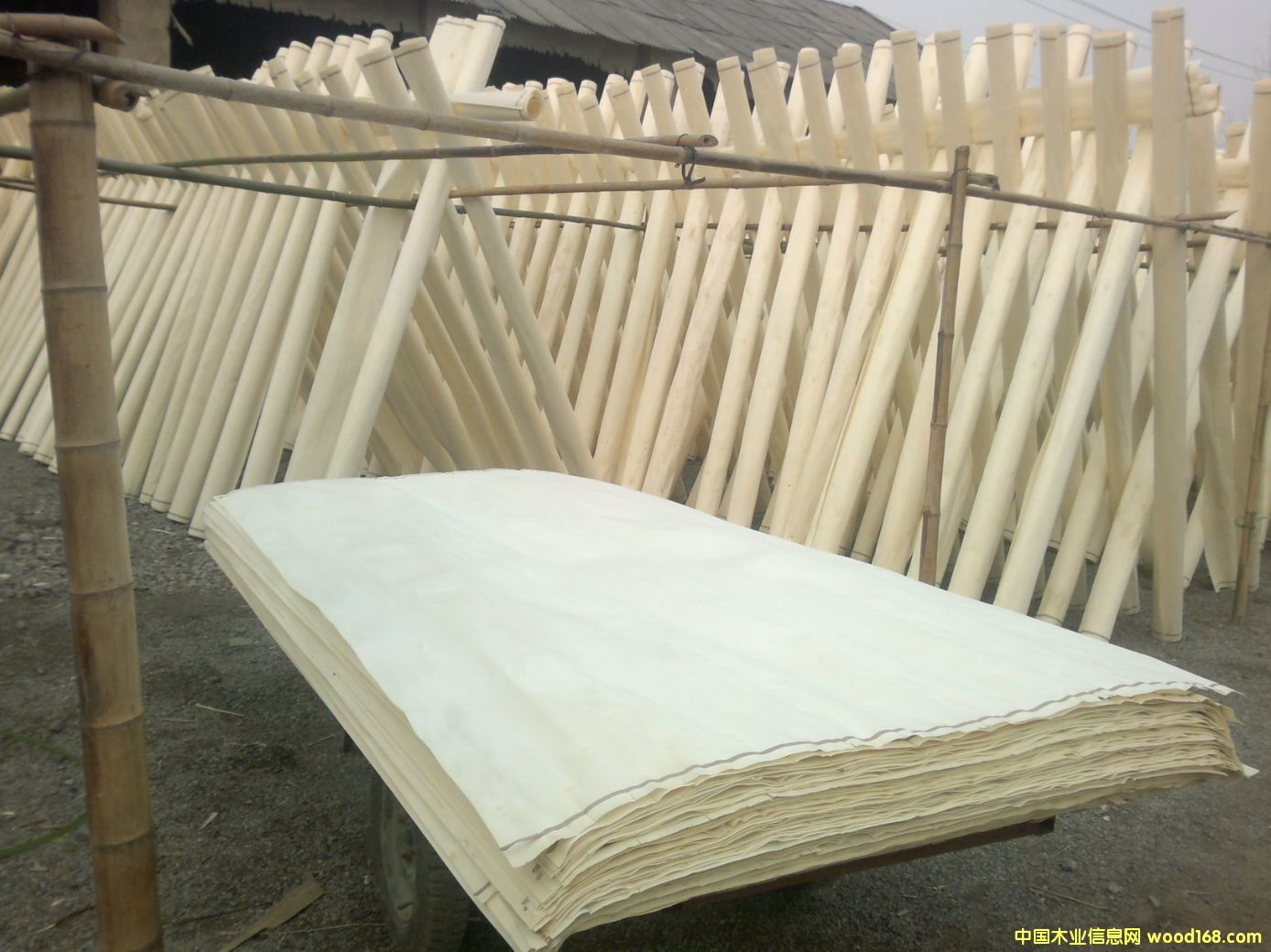 ��ľƯ�״�Ƥ��Ԕ��(x��)��B