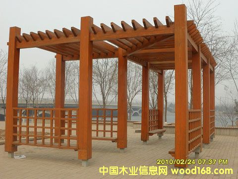 ����ľ��Ԕ��(x��)��B