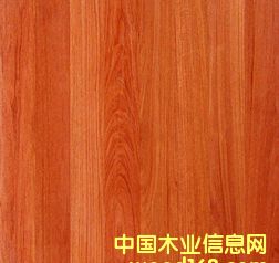 �����t��ľ��Ԕ��(x��)��B