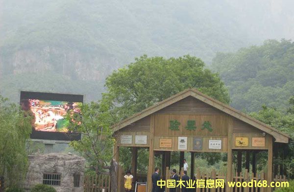 �Lɳ����ľľ�ݵ�Ԕ����B