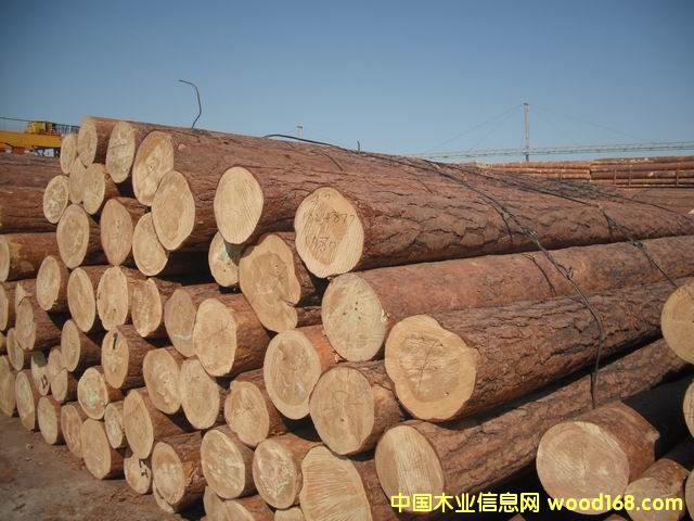 ���ɵ�Ԕ��(x��)��B