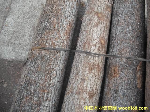 �~�[�ɵ�Ԕ��(x��)��B