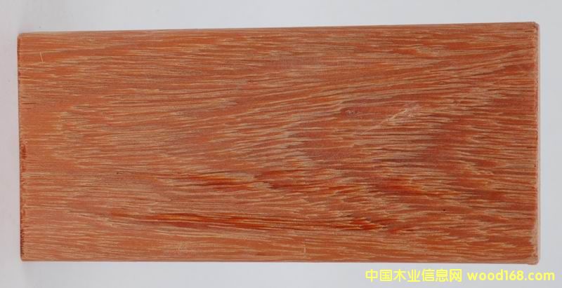 ����˹4��Ԕ����B