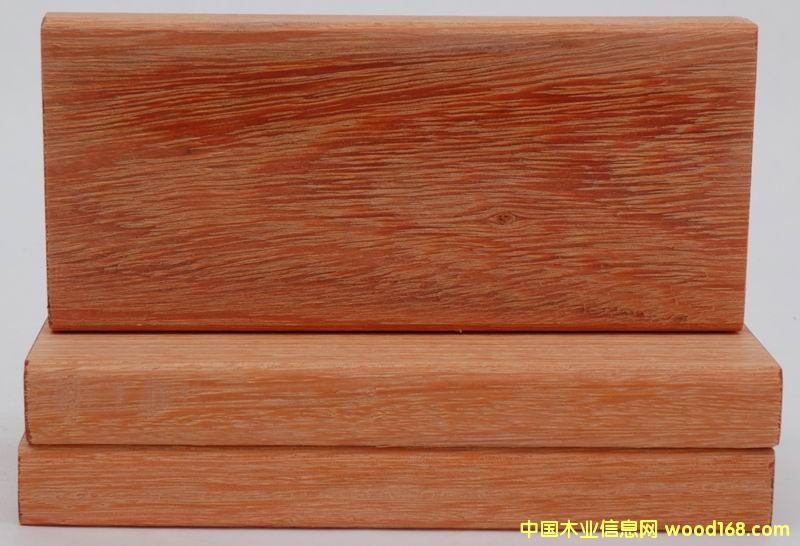 ����˹5��Ԕ����B