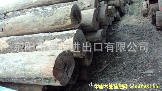 ������֦��Ԕ��(x��)��B