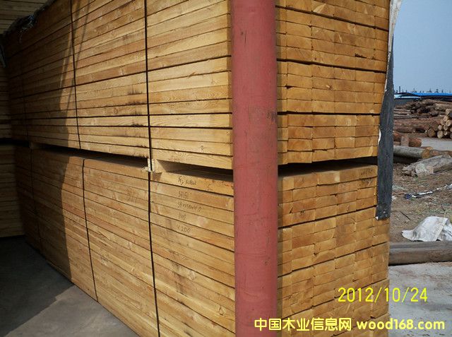 ���~�ɿ���