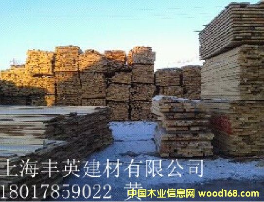 ���m�t��