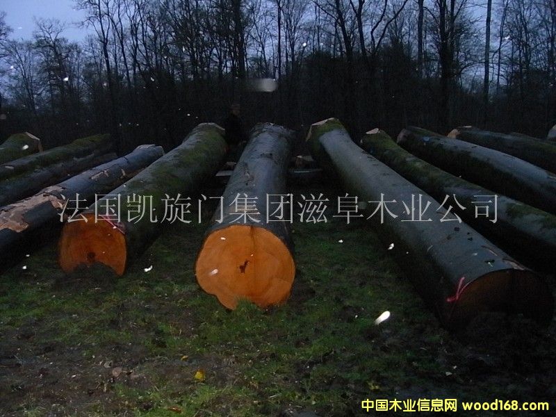 ����(gu��)AB��(j��)��ľԭľ��Ԕ��(x��)��B