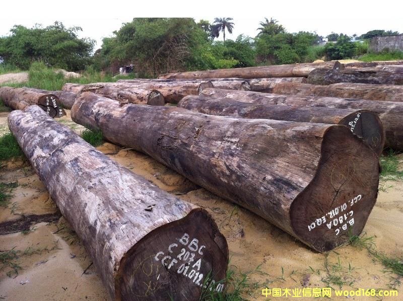 �u��ľ Wenge��Ԕ����B