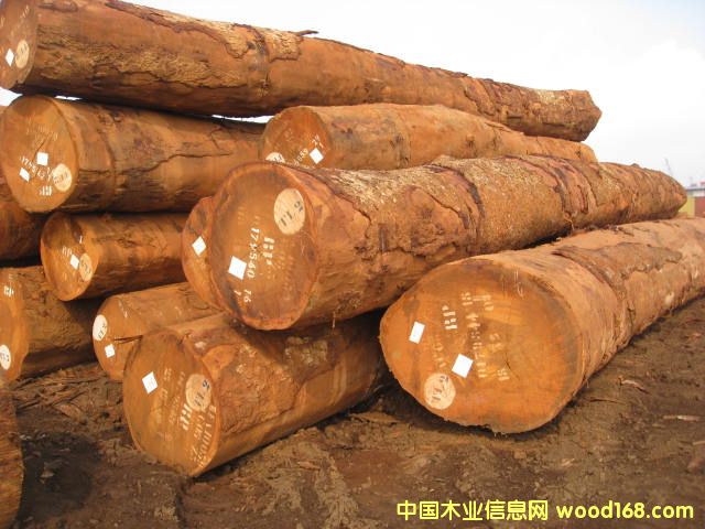 Tali ̩����Ԕ����B