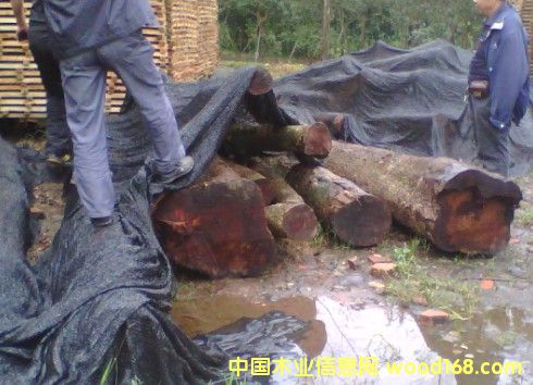 ���ľ�ϵ�Ԕ��(x��)��B