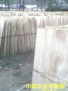 ��ľо���Ԕ��(x��)��B