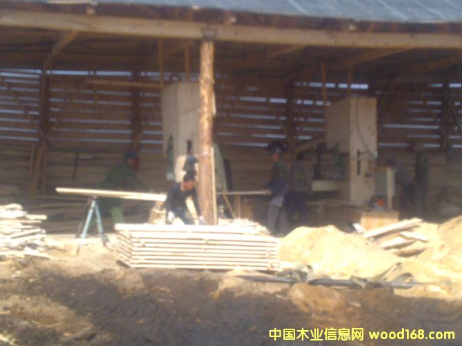 ���_˹��ľ��ĵ�Ԕ��(x��)��B