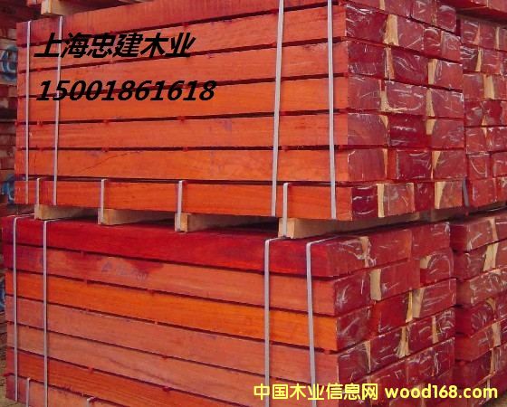 ������̴Padouk����