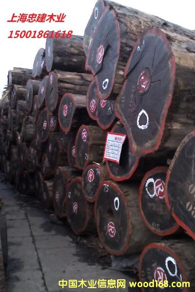 ������̴Padoukԭľ