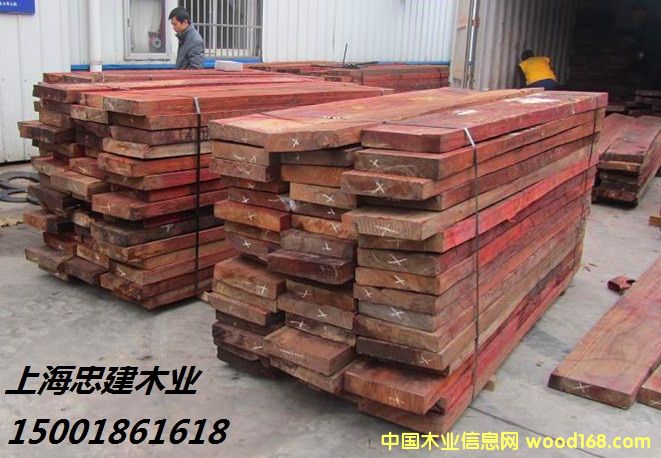 ���޼t����Padouk���