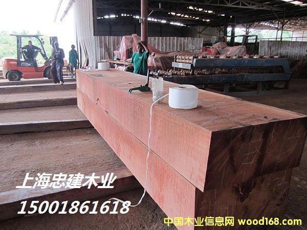 ���޼t����Padauk����