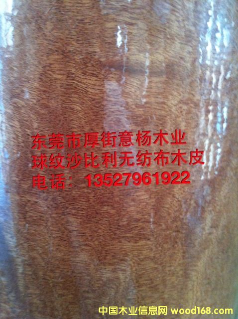 ��yɳ�����o����ľƤ��Ԕ����B