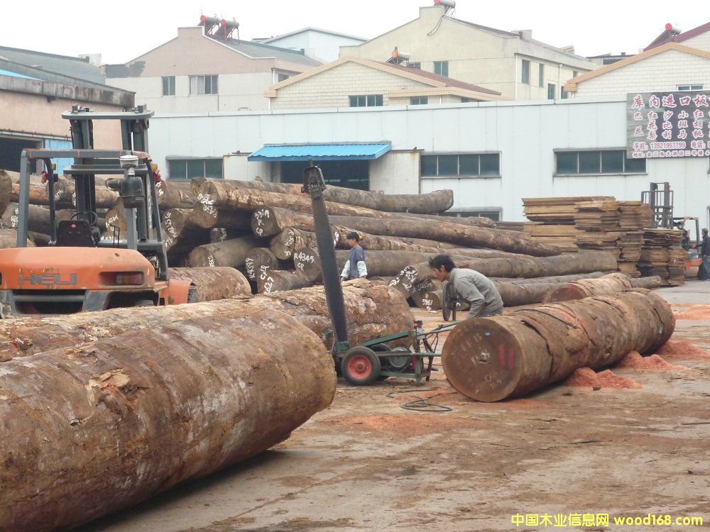 ɳ������ɰ��