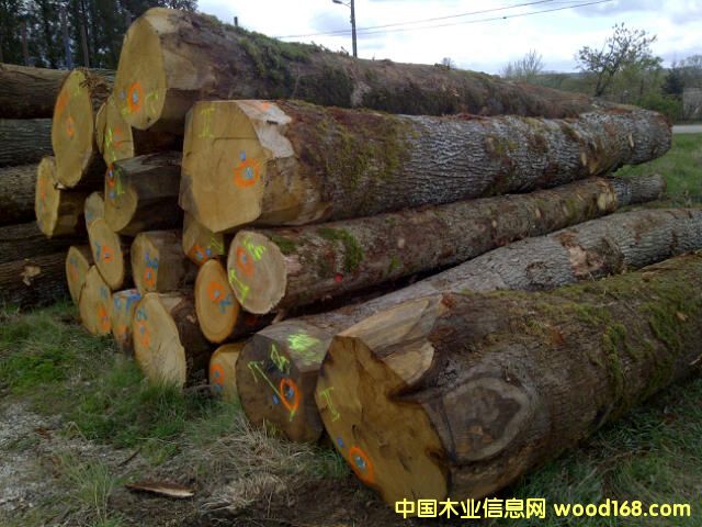 �W��ABC��(j��)