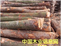 ��(y��u)�|(zh��)��ľԭľ