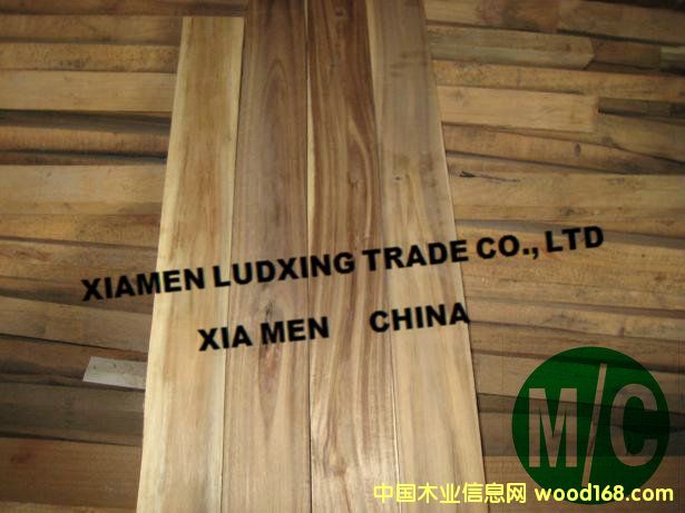 ��˼ľ�������˼ľ�ذ����ϣ�acacia5