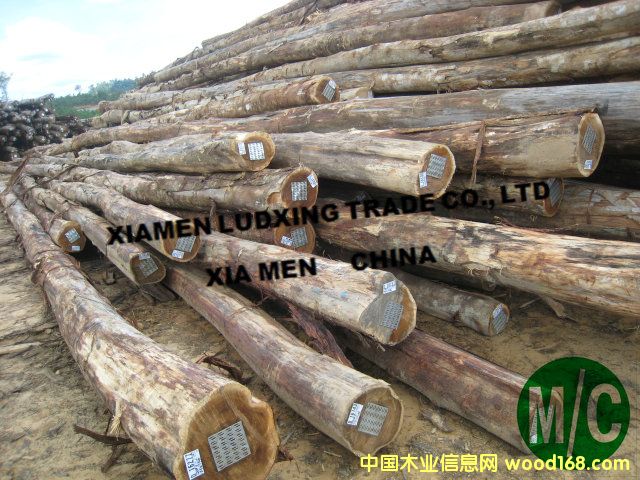 �R����˼ľ����Ϛgԭľ