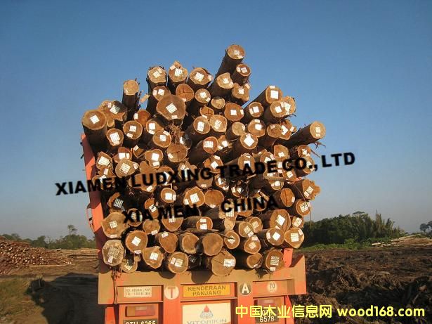 �R����˼ľ����Ϛgԭľ