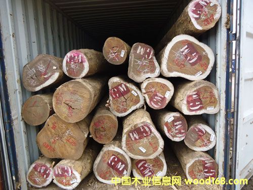 ���ބ�����t̴��Ԕ��(x��)��B