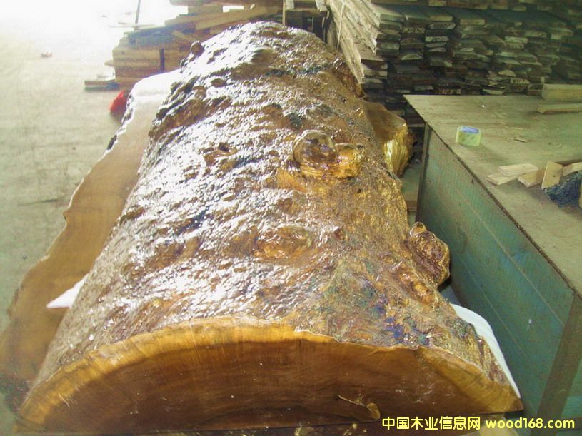 ��Ƥ�y��z骘�����Ԕ����B