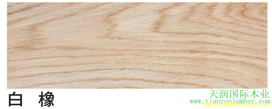 ��������&����ľ