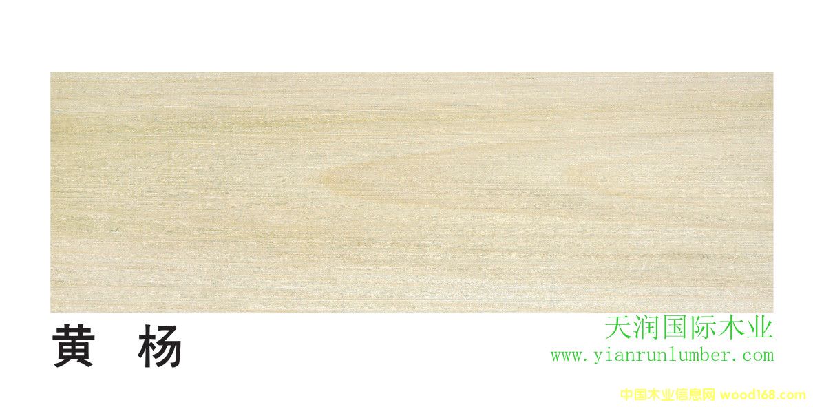 �S��&�����S���Ԕ����B