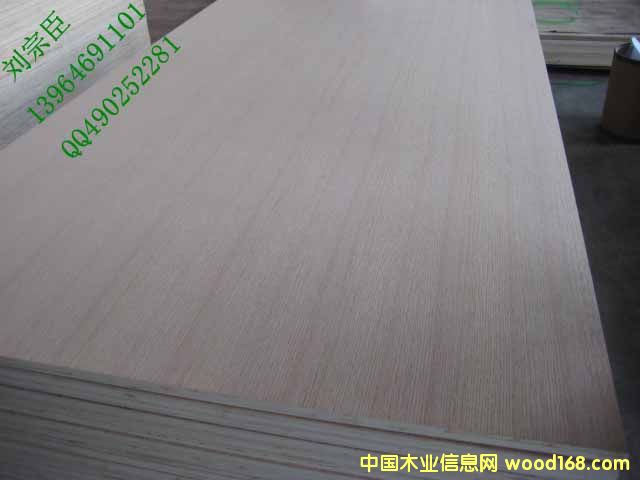 ֱ�y�t�������Ԕ��(x��)��B