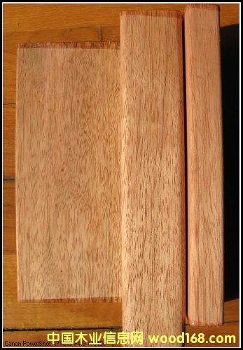 ����ľ�����Xһ�����|(zh��)����ô�ӣ��Ϻ����h(yu��n)ľ�I(y��)��Ԕ��(x��)��B