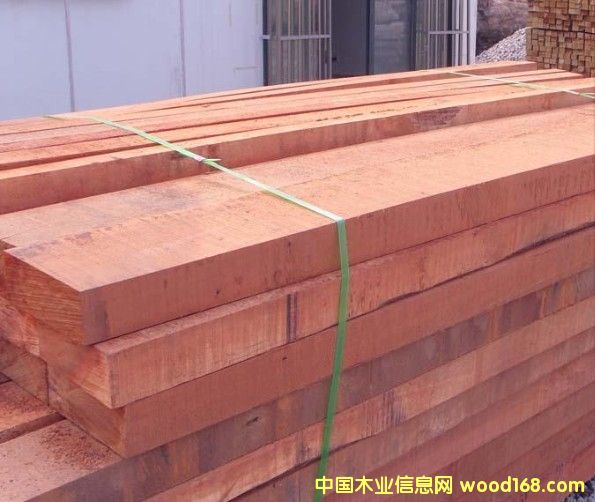 ɽ��ľ�����Xһ��(g��)������ɽ��ľ�m�����ذ�᣿�Ϻ����h(yu��n)ľ�I(y��)��Ԕ��(x��)��B