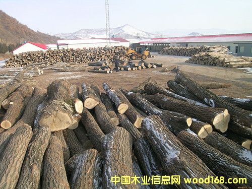 �؎X��ľԭľ��Ԕ����B